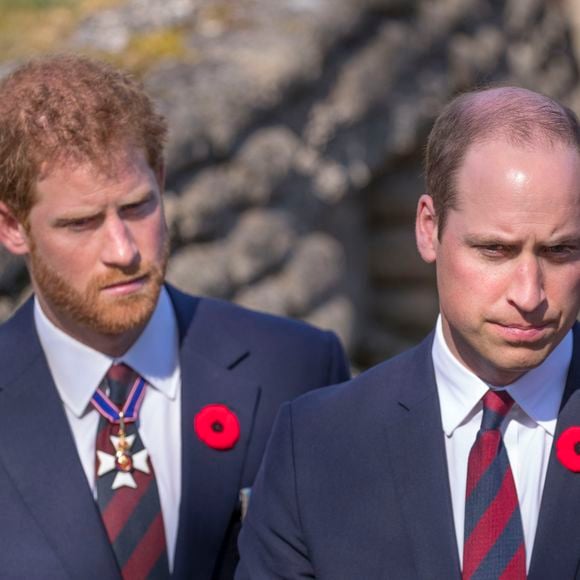 William et Harry sont en deuil.

Le prince William et le prince Harry visitent les tranchées de Vimy lors des commémorations de la bataille de Vimy.

Photo : Express Syndication / Bestimage