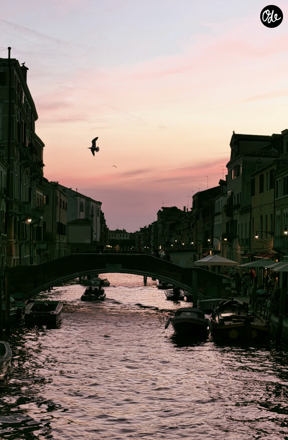 C'est à Venise qu'elle s'est envolée pour clore sa dernière semaine de trentenaire. Un voyage qu'elle a partagé sur Instagram.

Capture d'écran Instagram - Aurélie Casse
