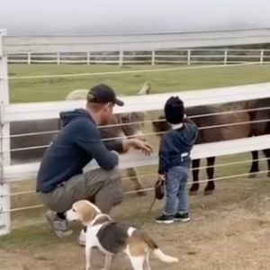 Harry et Archie dans une vidéo en mémoire de Guy, le Beagle de Meghan Markle, publiée sur son compte Instagram 

Pcture supplied by JLPPA