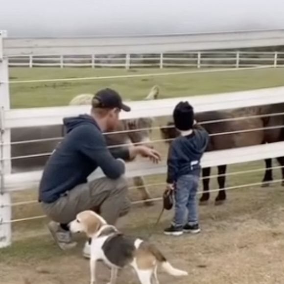 Harry et Archie dans une vidéo en mémoire de Guy, le Beagle de Meghan Markle, publiée sur son compte Instagram 

Pcture supplied by JLPPA