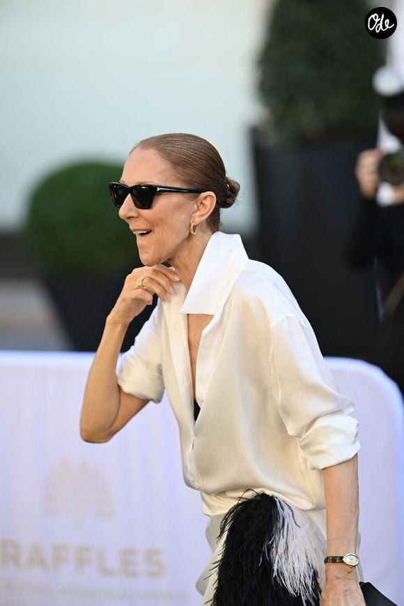 Céline Dion acclamée par ses fans à la sortie de l’hôtel Royal Monceau, avant de se rendre à la Plenitude Arena de Paris La Défense, à Paris, France, le 25 septembre 2026. © Pierre Perusseau/Bestimage