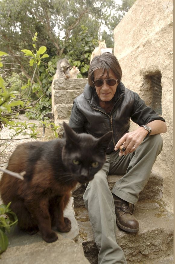 “Il ne bouge plus trop quand il fait chaud, c’est mauvais pour son cœur”, ajoutait le chanteur
Info - Jacques Dutronc fête ses 80 ans le 28 avril - Archives - En France, Jacques Dutronc chez lui à Monticello en Corse avec ses chats. le 9 mai 2005.
GONGORA Marie-Anne via Bestimage