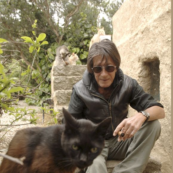 “Il ne bouge plus trop quand il fait chaud, c’est mauvais pour son cœur”, ajoutait le chanteur

Info - Jacques Dutronc fête ses 80 ans le 28 avril - Archives - En France, Jacques Dutronc chez lui à Monticello en Corse avec ses chats. le 9 mai 2005.
GONGORA Marie-Anne via Bestimage