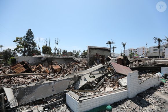 Par ailleurs, la demeure, située dans un quartier de Los Angeles touché par les incendies de 2018 et 2025, a été épargnée par les flammes.

Illustration Pacific Palisades, huit mois après l'incendie historique : un quartier encore à l'arrêt.

Photo : Agence / Bestimage