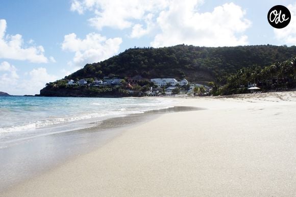 Archives - La plage des Flamands - Illustration de l'île Saint-Barthélemy dans les Caraïbes en 2015
© Céline Bonnarde / Bestimage