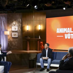 Exclusif - Thomas Dutronc et Bernard Montiel 

Jack Tribeca / Bestimage