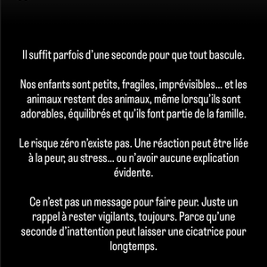 L’ancienne présidente du comité Miss France évoque un incident impliquant un animal de compagnie.

Sylvie Tellier a pris la parole sur ses réseaux sociaux, expliquant avoir passé la nuit aux urgences pédiatriques. Capture d'écran Instagram