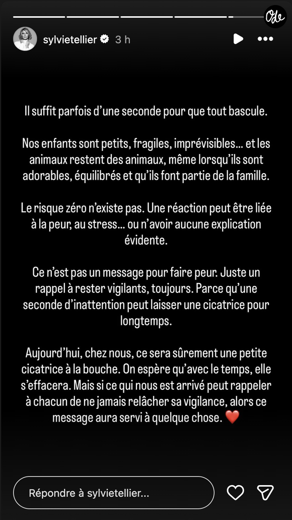L’ancienne présidente du comité Miss France évoque un incident impliquant un animal de compagnie.

Sylvie Tellier a pris la parole sur ses réseaux sociaux, expliquant avoir passé la nuit aux urgences pédiatriques. Capture d'écran Instagram