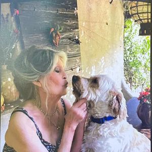 Livrets de funérailles des obsèques de Brigitte Bardot en l'église Paroissiale Notre-Dame-de-l'Assomption de Saint-Tropez, France, le 7 janvier 2026.© Bestimage