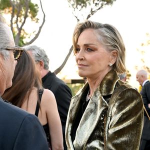 Exclusif - Sharon Stone et Andy Garcia - Dîner de charité "Knights of Charity" au Château de la Croix des Gardes à Cannes le 20 mai 2026. © Bruno Bebert / Bestimage