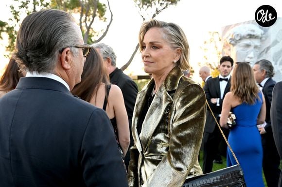 Exclusif - Sharon Stone et Andy Garcia - Dîner de charité "Knights of Charity" au Château de la Croix des Gardes à Cannes le 20 mai 2026. © Bruno Bebert / Bestimage
