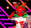 Lors de l'émission, le mot "télé" est également un indice, tout comme les mots "show", "aérien" et "brillant".
Le Fraisier, Deuxième prime de Mask Singer, capture d'écran TF1