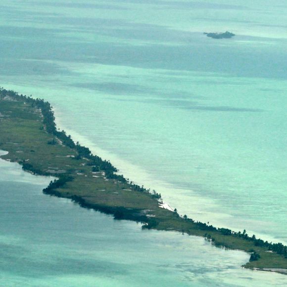 Exclusif - Vues aériennes de Blackadore Caye, l'île privée au large des côtes du Belize que l'acteur et environnementaliste Leonardo DiCaprio a achetée en 2015 pour 1,75 million de dollars.  L'île est bordée de palmiers mourants et le rivage est recouvert d'algues vertes à Blackadore Caye, au Belize, le 5 juin 2021. Coleman-Rayner / Bestimage