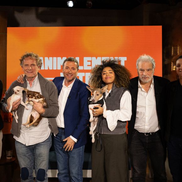 Exclusif - Bernard Montiel, Raphaël Mezrah, Oli. avec Charles Berling et Charles Edouard Fusari invités, Olivia Juriste et Sylvain Vétérinaire sur plateau de l'émission "Animalement Vôtre" présentée par Bernard Montiel et diffusée le XXX sur France 3, à Paris, France, le 12 janvier 2026. © Julien Sarkissian/Bestimage