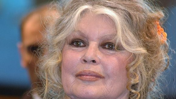 Brigitte Bardot a partagé un lien méconnu avec cette actrice populaire : un souvenir jusqu'ici gardé secret