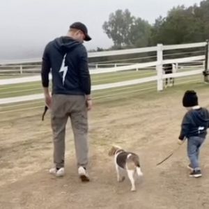 Harry, Archie et Guy, le chien récemment décédé de Meghan Markle

Instagram : Meghan Markle/JLPPA