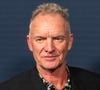 Plus de quarante ans après la séparation de The Police, Andy Summers et Stewart Copeland poursuivent Sting en justice.

New York, États-Unis : Sting assiste au gala de printemps de la Fondation Wayuu Taya au Chelsea Industrial de New York. (Crédit image : © Ron Adar/SOPA Images via ZUMA Press Wire)

Photo : Sting