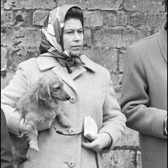 Archives : la reine Elizabeth II d'Angleterre et son chien faisant du badminton en 1976.
Photographe : DANIEL ANGELI / BESTIMAGE