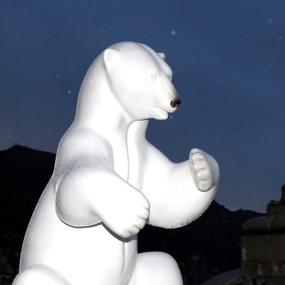 Exclusif -  Illustration lors de la visite de l'exposition Les Géants des Glaces de M.Bassompierre au musée océanographique de Monaco le 10 avril 2024.
© Claudia Albuquerque / Bestimage