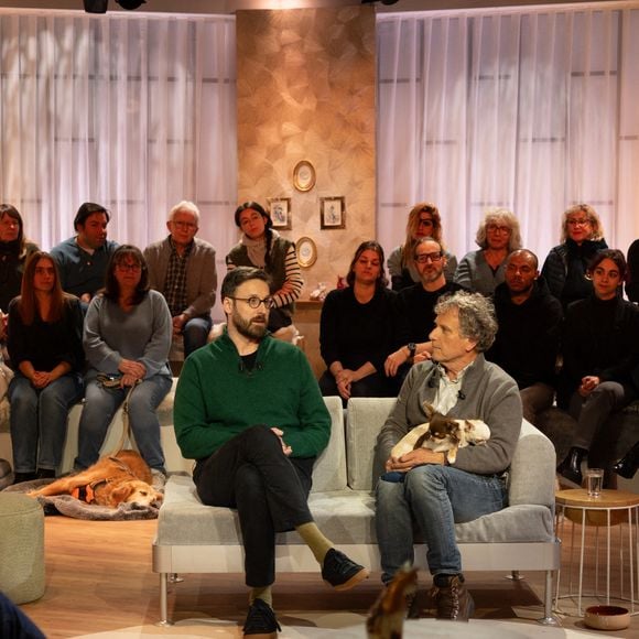 Exclusif - Bernard Montiel, Raphaël Mezrah, Oli. avec Charles Berling et Charles Edouard Fusari invités, Olivia Juriste et Sylvain Vétérinaire sur plateau de l'émission "Animalement Vôtre" présentée par Bernard Montiel et diffusée le XXX sur France 3, à Paris, France, le 12 janvier 2026. © Julien Sarkissian/Bestimage