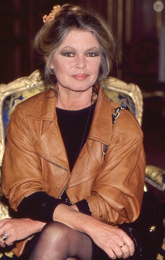 Imaginé par Thierry Chabrot, il bénéficie de la direction artistique de Marc Di Domenico et du soutien de la Fondation Brigitte Bardot.

Archives - Brigitte Bardot.

Photo : JLPPA / Bestimage