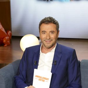 Depuis novembre, Bernard Montiel anime Animalement vôtre chaque dimanche après-midi sur France 3.

Exclusif - Bernard Montiel sur plateau de l'émission "Animalement Vôtre". © Jack Tribeca/Bestimage