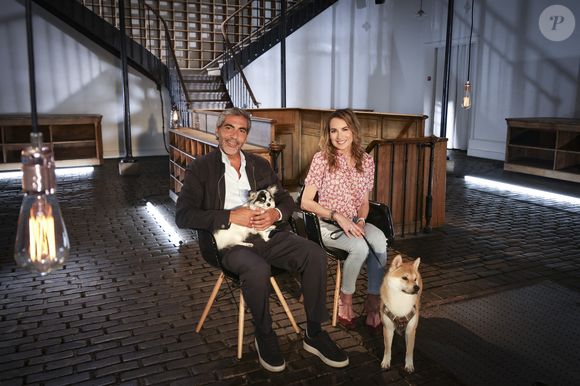 Exclusif - Ary Abittan pendant l’enregistrement d’Animaux Stars, présenté par B.Montiel et diffusé le 4 octobre 2025 sur Animaux TV, à Paris, France le 3 juillet 2025. © Jack Tribeca/Bestimage