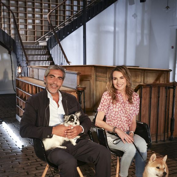 Exclusif - Ary Abittan pendant l’enregistrement d’Animaux Stars, présenté par B.Montiel et diffusé le 4 octobre 2025 sur Animaux TV, à Paris, France le 3 juillet 2025. © Jack Tribeca/Bestimage