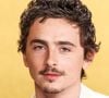 L'acteur a lâché des commentaires controversés, insinuant que le ballet et l'opéra étaient devenus des arts "mourants" ou en décalage. 

Sur la photo : Timothee Chalamet, Timothée Chalamet