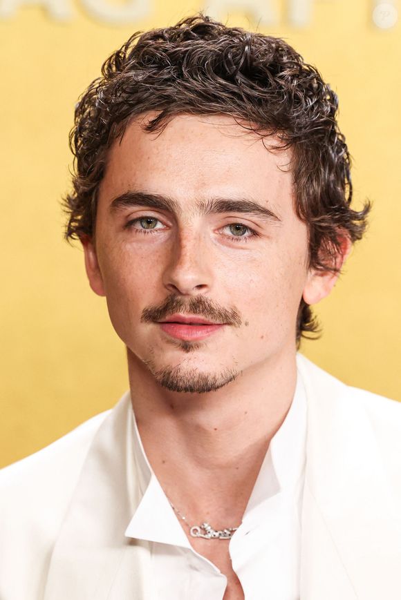 L'acteur a lâché des commentaires controversés, insinuant que le ballet et l'opéra étaient devenus des arts "mourants" ou en décalage. 

Sur la photo : Timothee Chalamet, Timothée Chalamet