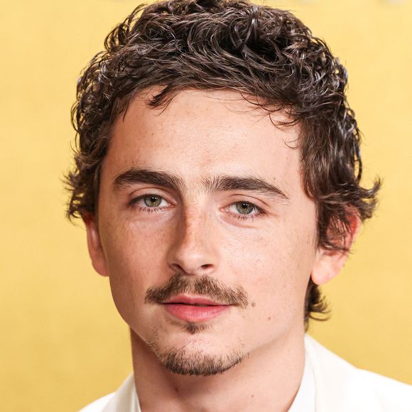 L'acteur a lâché des commentaires controversés, insinuant que le ballet et l'opéra étaient devenus des arts "mourants" ou en décalage. 

Sur la photo : Timothee Chalamet, Timothée Chalamet