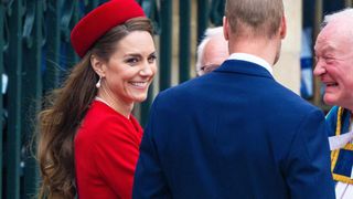 À l'aube de leurs 15 ans de mariage, Kate et William partagent un moment d'affection doux et candide là où ils se sont unis