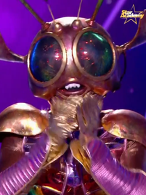 "Je m'en veux" : Eh non, le Scarabée (Mask Singer 8) n'ira pas en finale ! Il sait très bien chanter mais pas que...