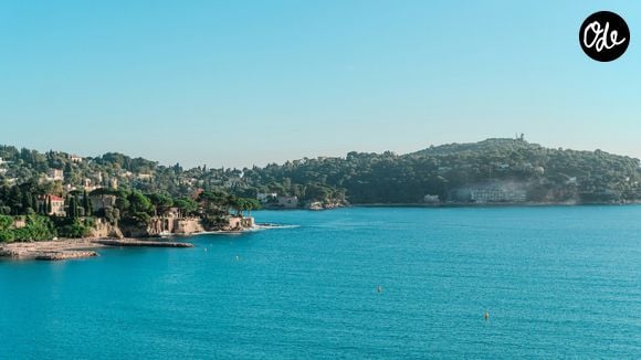 Image Unsplash
