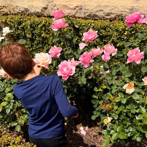 Le prince Harry et Meghan Markle protègent leurs enfants, Lilibet et Archie, de la médiatisation. Capture d'écran Instagram