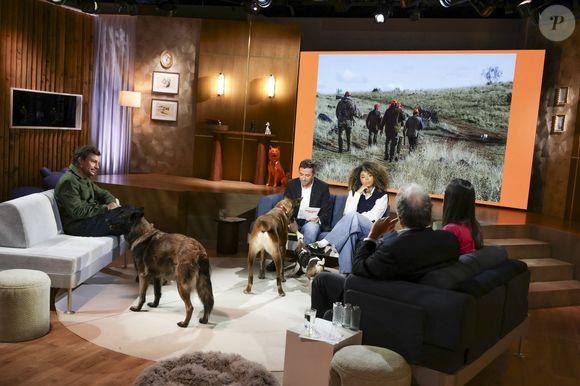 Bertrand Chameroy, Bernard Montiel et Oli sur plateau de l'émission "Animalement Vôtre" présentée par B.Montiel et diffusée le 25 janvier 2026 sur France 3, à Paris, France, le 3 décembre 2025. © Jack Tribeca/Bestimage