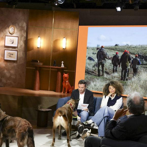 Bertrand Chameroy, Bernard Montiel et Oli sur plateau de l'émission "Animalement Vôtre" présentée par B.Montiel et diffusée le 25 janvier 2026 sur France 3, à Paris, France, le 3 décembre 2025. © Jack Tribeca/Bestimage