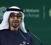L'acquisition comprend un château du XVIIIe siècle, deux villas de luxe et des infrastructures hippiques de pointe avec 200 boxes.

Mohammed ben Zayed Al Nahyane, président des Emirats arabes unis - Ouverture du Sommet mondial d'action pour le climat à Dubaï (Cop28 / 30 novembre - 12 décembre 2023), le 30 novembre 2023.
PA Photo/ Bestimage