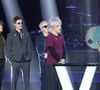 Il a remercié Nicola Sirkis, les équipes qui entourent le groupe et les fans.

Le groupe Indochine reçoit un prix spécial aux Victoires de la Musique 2026 (41ème édition) pour sa tournée record de plus d'un million de spectateurs le 13 février 2026. © Guirec Coadic / Moreau / Jacovides / Bestimage