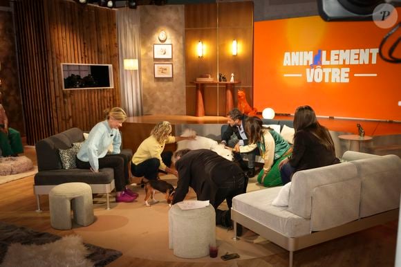 Exclusif - Caroline Roux, sur plateau de la nouvelle émission "Animalement Vôtre" présentée par Bernard Montiel et diffusée le 30 novembre sur France 3, à Paris, France, le 14 octobre 2025. © Jack Tribeca/Bestimage