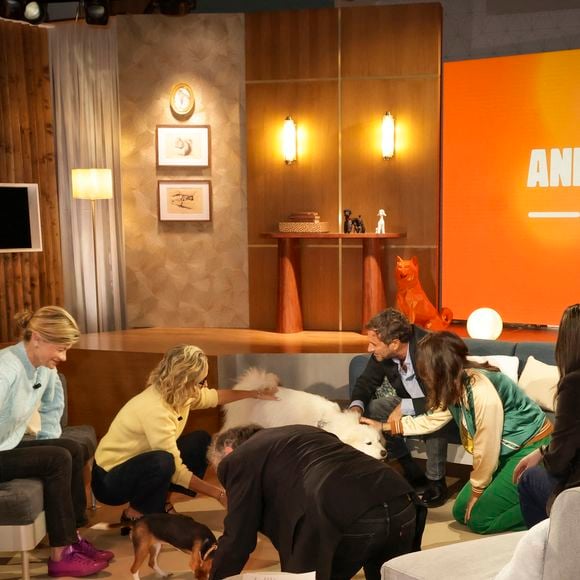 Exclusif - Caroline Roux, sur plateau de la nouvelle émission "Animalement Vôtre" présentée par Bernard Montiel et diffusée le 30 novembre sur France 3, à Paris, France, le 14 octobre 2025. © Jack Tribeca/Bestimage