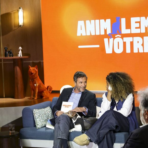Exclusif - Bernard Montiel, Oli, sur plateau de la nouvelle émission "Animalement Vôtre" présentée par Bernard Montiel et diffusée le 16 novembre sur France 3, à Paris, France, le 14 octobre 2025. © Jack Tribeca/Bestimage