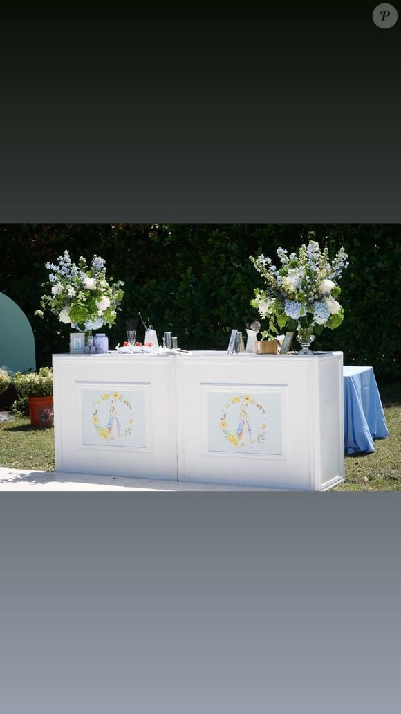 On valide le choix de ce thème de Baby Shower même si on imagine que le budget de cette fête est sans limite

Photo de la baby shower du futur bébé de Tiffany Trump, la fille de Donald Trump - avril 2025