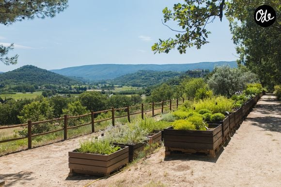 Après avoir participé au développement d’une entreprise devenue un acteur majeur de la cosmétique naturelle, Valérie Vausselin écrit donc une nouvelle page entrepreneuriale dans l’univers du vin.

Valérie Panagiotis-Vausselin et Yannick Panagiotis ont investi depuis 2022 dans le domaine de la Citadelle. Crédit : Yann Villaret