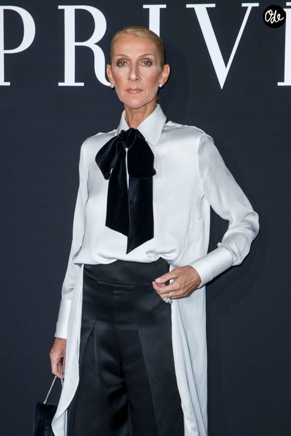 La chanteuse prépare aussi son grand retour sur scène à Paris La Défense Arena.

Celine Dion au photocall du défilé de mode Haute-Couture printemps-été 2019 "Giorgio Armani Prive Haute Couture"  à Paris. Le 22 janvier 2019
© Olivier Borde / Bestimage