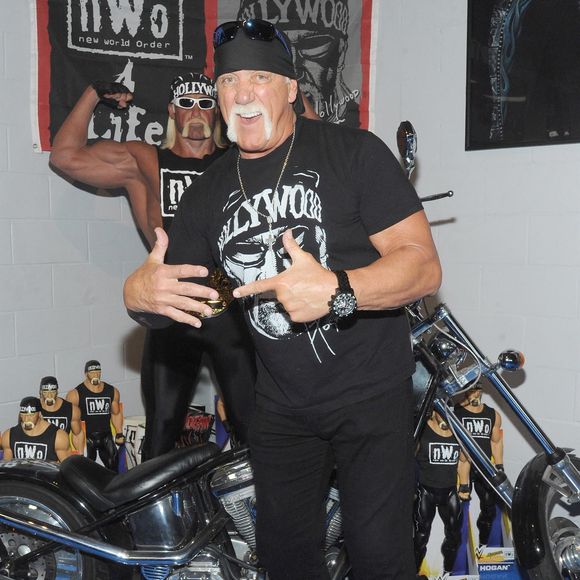 Une figure emblématique du divertissement américain s’est éteinte à l’âge de 71 ans.

La légende du catch Hulk Hogan ne sentirait plus le bas de son corps après une opération du dos. Il serait contraint de se déplacer à l'aide d'une canne. C'est en tous cas ce qu'a déclaré Kurt Angle dans son podcast. Backgrid USA / Bestimage