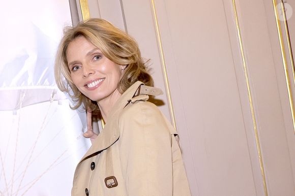 Sylvie Tellier à la 150 ème du spectacle "Tombé du ciel" de Jeanfi Janssens à la Comédie des Champs Elysées à Paris le 13 février 2025. 

© Cédric Perrin / Bestimage