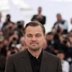 Leonardo DiCaprio parie gros sur un business très particulier en France, un marché où absolument personne ne l'attendait