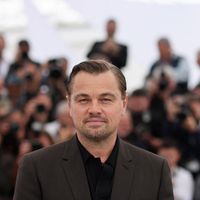 Leonardo DiCaprio parie gros sur un business très particulier en France, un marché où absolument personne ne l'attendait