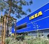 On apprend dans cet article de "L'Express" que 84% des salariés jugent leur poste stimulant et 89% lui donnent du sens.
Ouverture du nouveau magasin IKEA à Nice, le 11 mai 2022, le 36ème en France, dans l'eco-quartier Nice St Isidore, tout proche du stade Allianz Rivera. Cet ensemble composé de 5200 m2 de surface végétale sur le toit, pour lutter contre les îlots de chaleur, permet également une auto production d'énergies renouvelables grâce à ses 3200 panneaux photovoltaïques. La surface de vente se situe sur deux étages en plus du parking souterrain, 24.000 m2 de surface commerciale. © Bruno Bebert / Bestimage